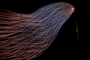 stream processing