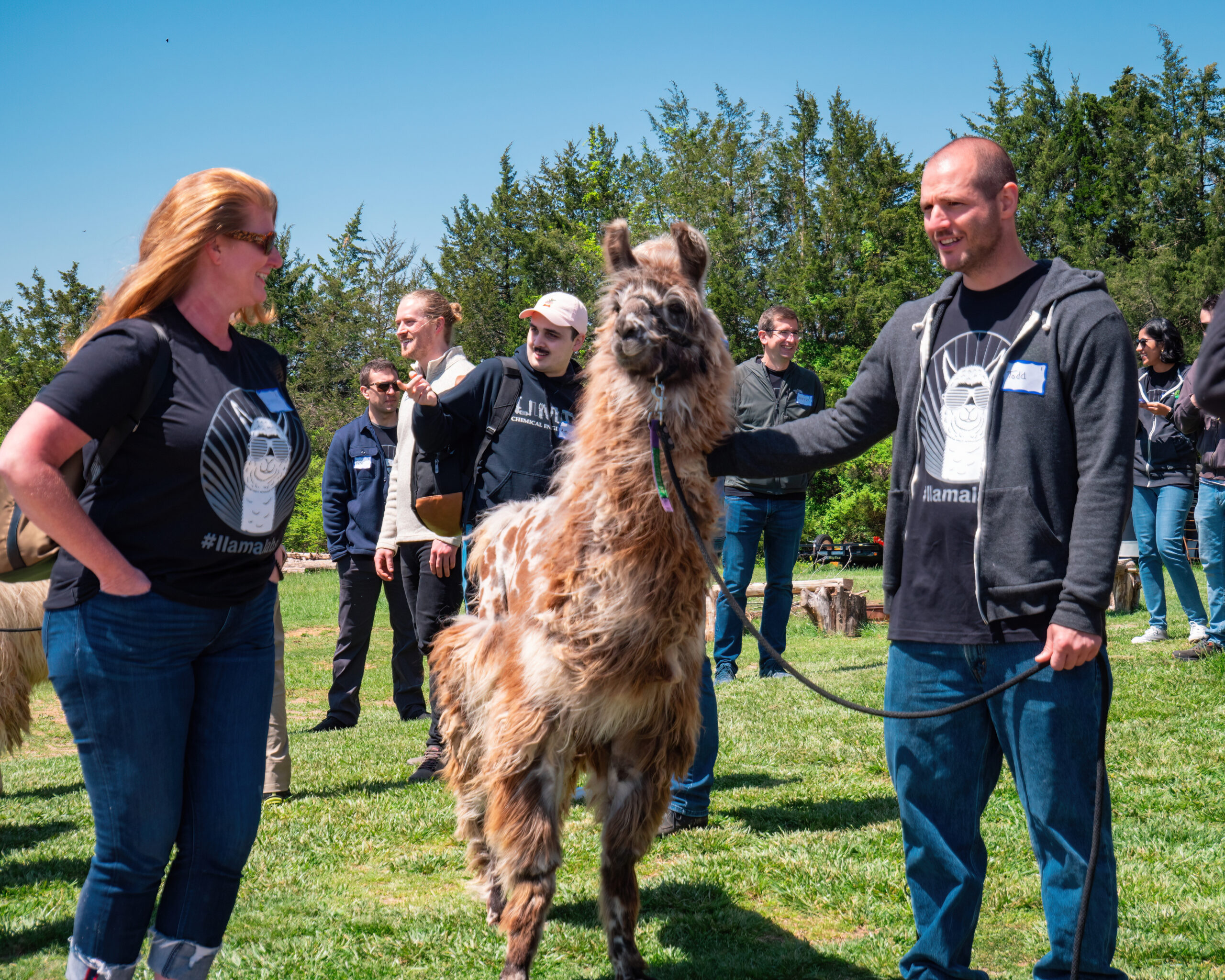 A photo of RTS's annual Llama Party team-building event