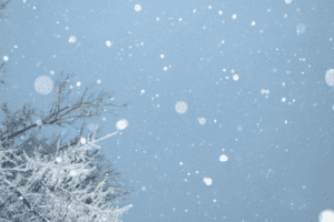 snowflake data warehousing