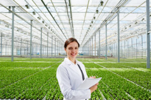 Lady researcher standing in a big greenhouse full of green plants