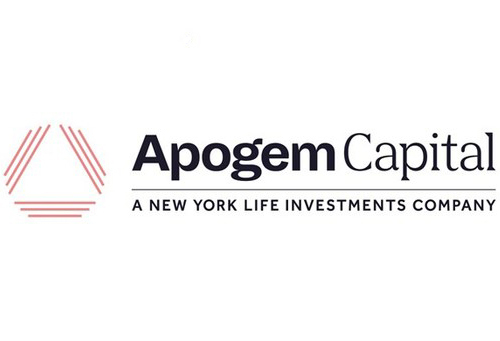 Apogem Capital Logo: RTS Labs client