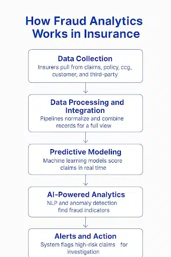 A flowchart showing steps of fraud analytics