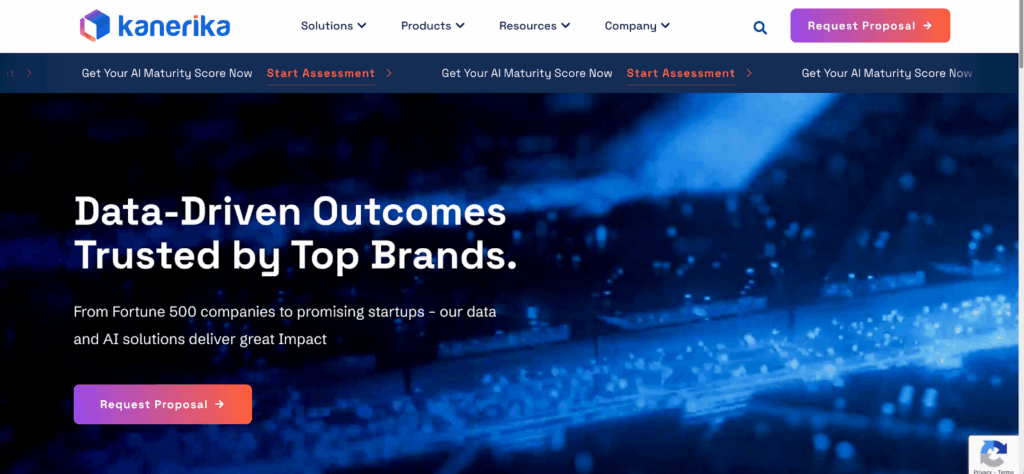 Kanerika homepage view